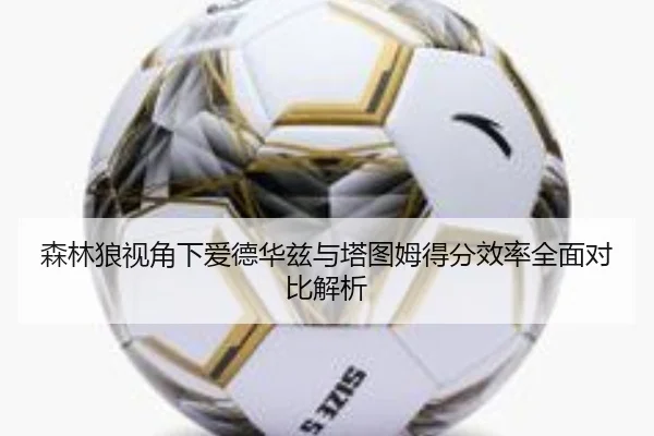 森林狼视角下爱德华兹与塔图姆得分效率全面对比解析